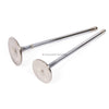 Fits 97-02 Honda Accord Acura C T Odyssey SOHC HP Intake Exhaust Valves