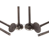 Fits 03-05 1.6L Kia Rio A6D DOHC Intake Exhaust Valves