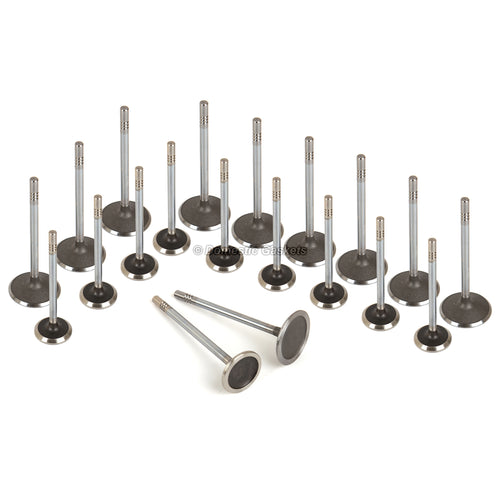 Intake Exhaust Valves Fit 00-05 Ford F250 F350 E350 E450 E550 6.8 SOHC 20V