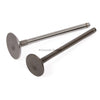 Fits 99-02 Daewoo Lanos 1.6L DOHC Intake Exhaust Valves A16