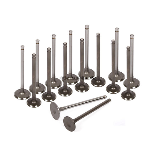 Fits 99-02 Daewoo Lanos 1.6L DOHC Intake Exhaust Valves A16