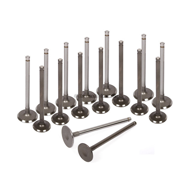 Head Gasket Set Intake Exhaust Valves Fit 98-02 Daewoo Lanos 1.6L DOHC A16
