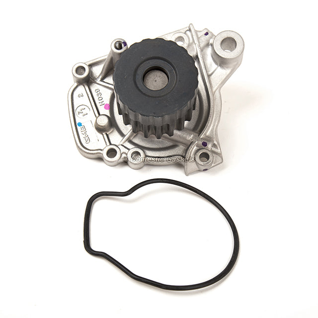 Timing belt Kit Water Pump Fit 96-00 Civic Honda 1.6L SOHC D16Y7 D16Y8