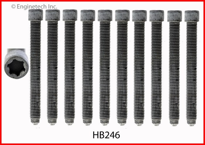 Enginetech HB246 Engine Head Bolt Set for One Cylinder – Compatible with Audi A4 and Volkswagen Passat (1997-2000)