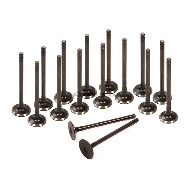 Fits 04-08 Chevrolet Aveo Aveo5 1.6L DOHC Intake and Exhaust Valves Set VIN D 6