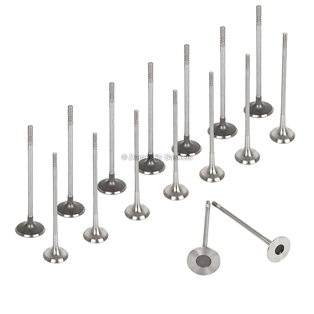 Head Gasket Set Intake Exhaust Valves Fits 09-11 Pontiac G3 Chevrolet Aveo 1.6