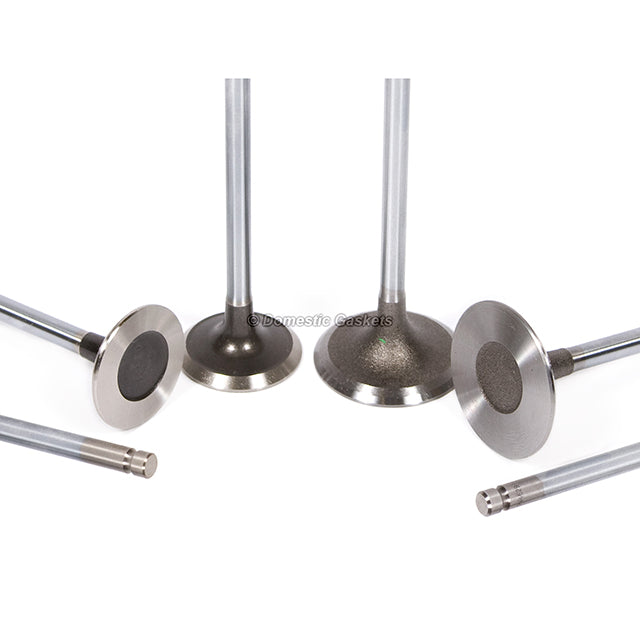 Head Gasket Set Intake Exhaust Valves Fit 96-01 Toyota 4Runner T1000 2.7 3RZFE