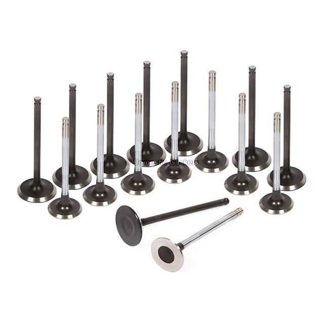 Full Gasket Set Intake Exhaust Valves Fit 98-05 Toyota Chevrolet 1.8L DOHC 1ZZFE