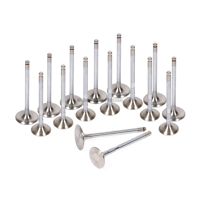 Head Gasket Set Intake Exhaust Valves Fit 00-06 Toyota Pontiac 1.8L DOHC 2ZZGE