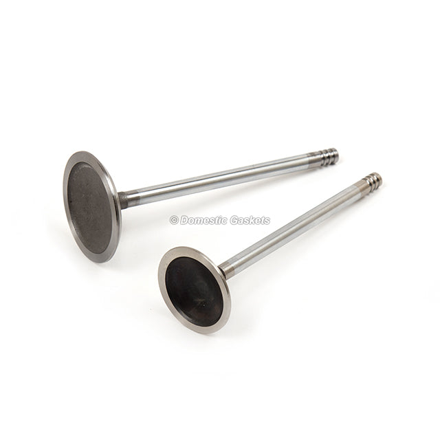 Full Gasket Set Intake Exhaust Valves Fit Ford F150 01/15/1998-04 3.8L 4.2L