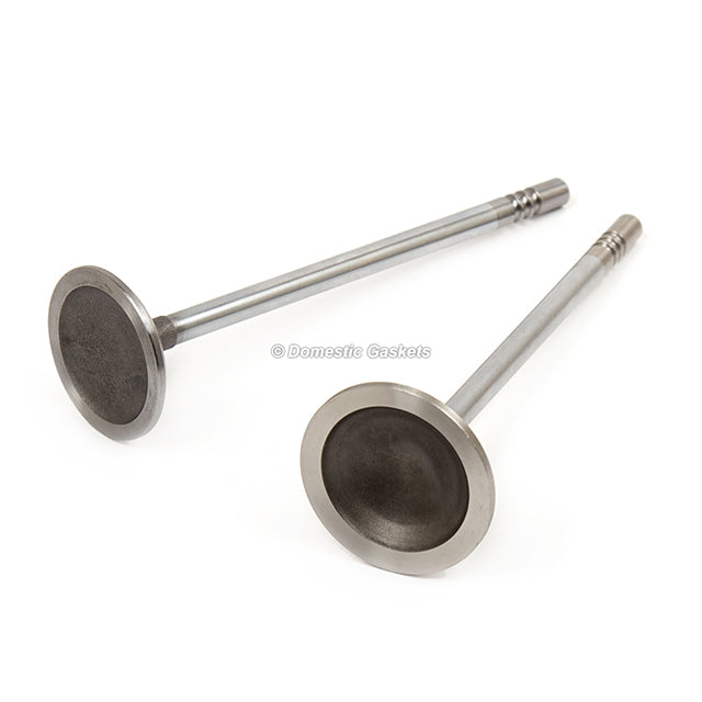 Full Gasket Set Intake Exhaust Valves Fit Ford Mustang 09-10 4.6L SOHC 24V VIN H
