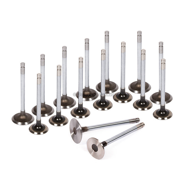 Head Gasket Set Intake Exhaust Valves Fit 93-97 Nissan Altima 2.4L