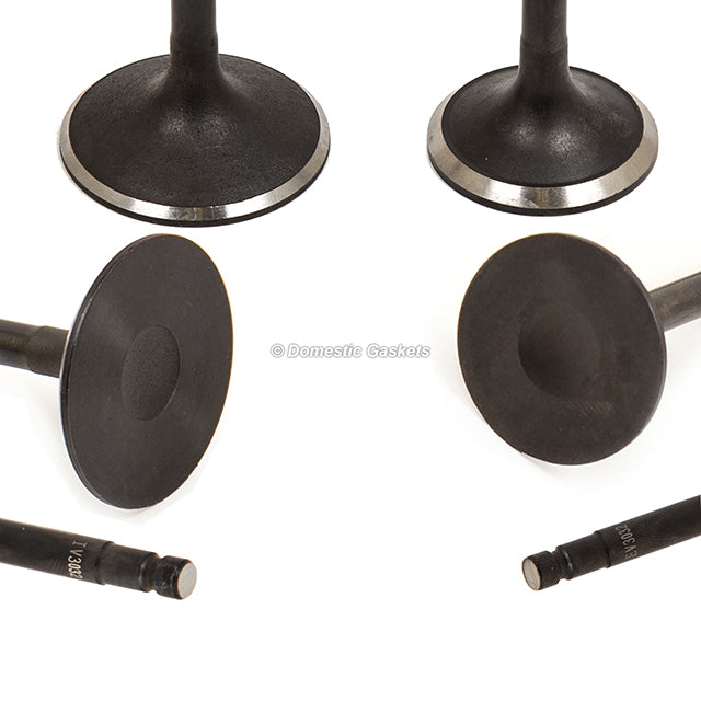 Head Gasket Set Intake Exhaust Valves Fits 05-10 Nissan Suzuki 2.5 DOHC QR25DE