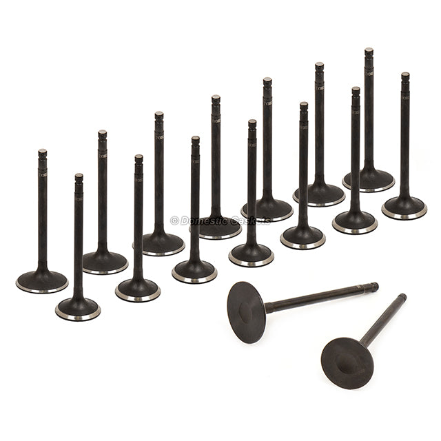 Head Gasket Set Intake Exhaust Valves Fits 05-10 Nissan Suzuki 2.5 DOHC QR25DE