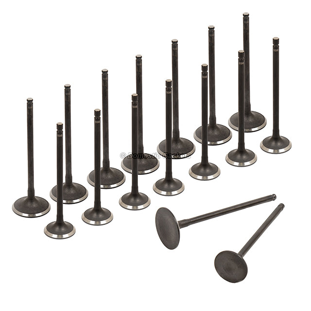 Graphite Head Gasket Set Intake Exhaust Valves Fit 07-12 Nissan Cube Sentra 1.8L