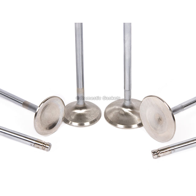 Head Gasket Set Intake Exhaust Valves Fit 94-01 Acura Integra 1.8L B18C5 B18C1