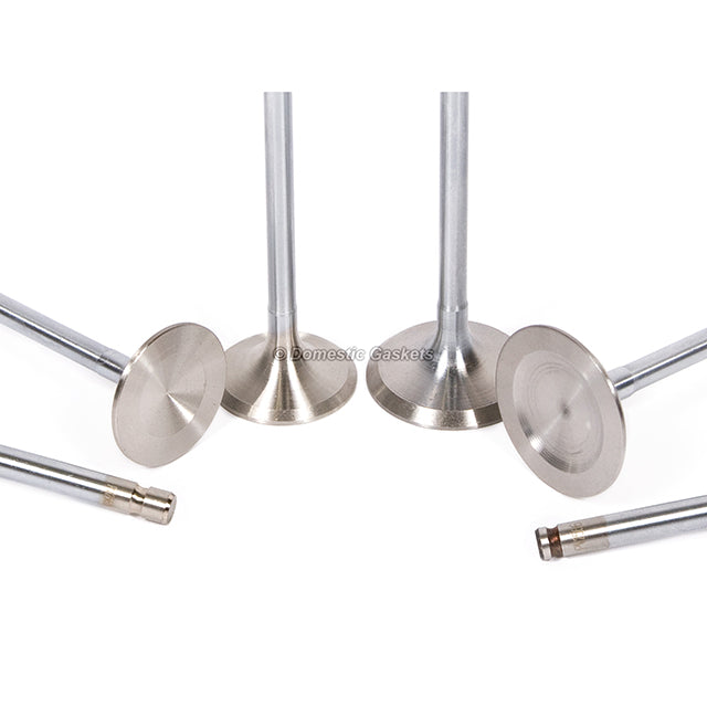 Head Gasket Set Intake Exhaust Valves Fit 91-96 Honda 2.2L F22A1 F22A6 F22A4