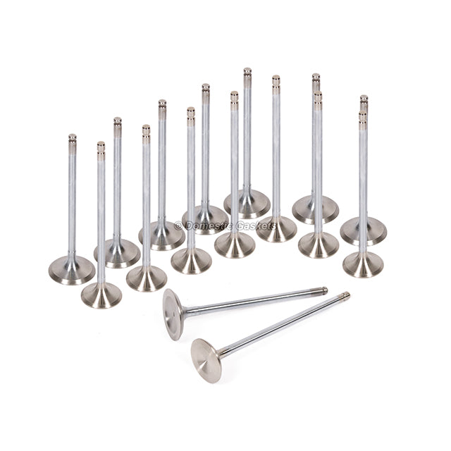 MLS Head Gasket Set Intake Exhaust Valves Fit 91-96 Honda 2.2L F22A1 F22A6 F22A4