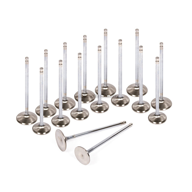 Head Gasket Set Intake Exhaust Valves Fit 94-97 Acura Honda 2.2L SOHC F22B1