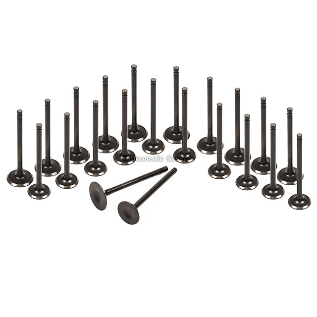 Head Gasket Set Intake Exhaust Valves Fits 99-01 Honda Odyssey 3.5 SOHC 24V