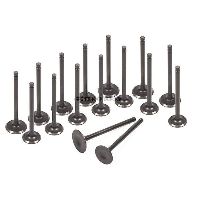 Head Gasket Set Intake Exhaust Valves Fit 92-96 Honda Prelude 2.3L H23A1 DOHC