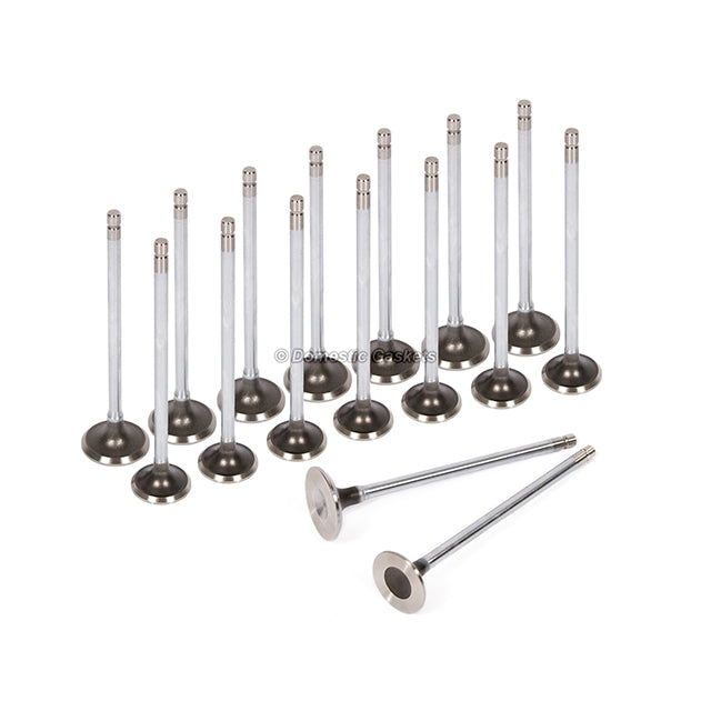 Head Gasket Set Intake Exhaust Valves Fit 92-95 Honda Civic D15B1 D15B7 D16A6