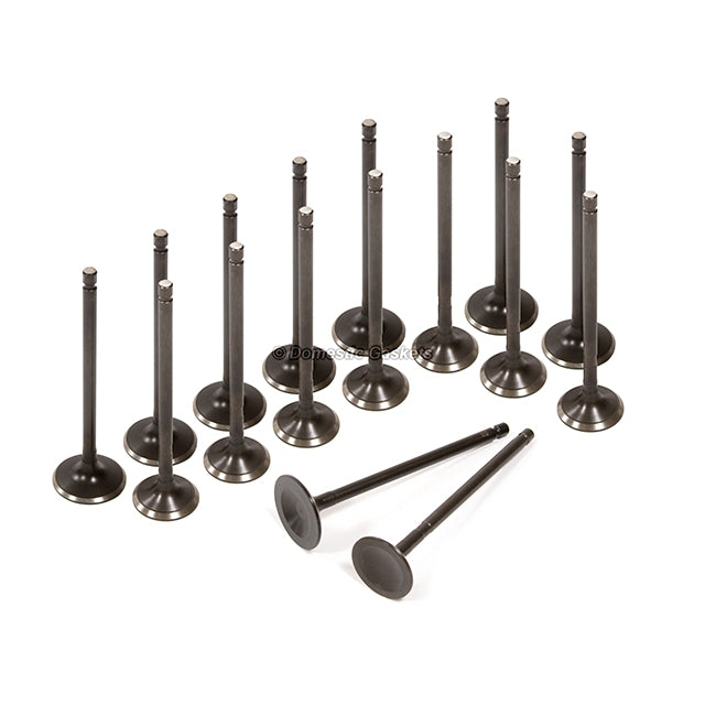 Head Gasket Set Intake Exhaust Valves Fit 01-05 Dodge Chrysler 2.4L 4G64