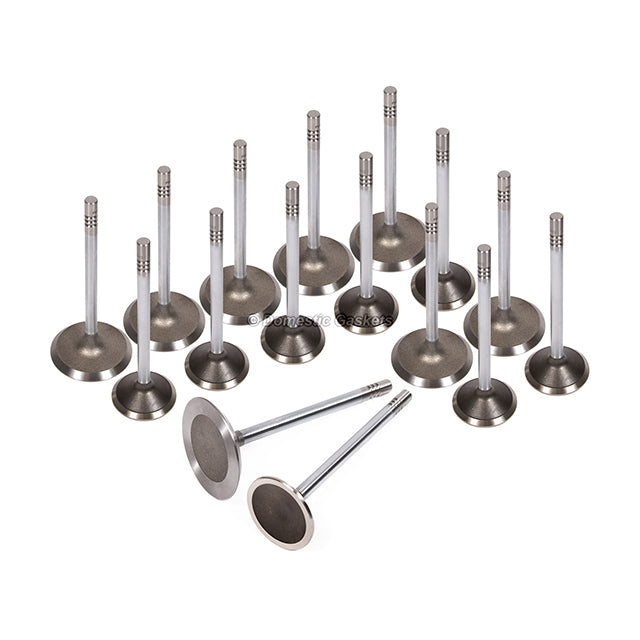 Head Gasket Set Intake Exhaust Valves Fit 04-07 Dodge Chrysler Jeep 4.7L SOHC