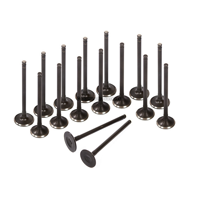 MLS Head Gasket Set Intake Exhaust Valves Fit 01-02 Kia Rio 1.5L DOHC A5D