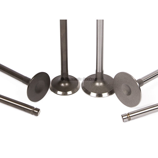 Full Gasket Set Intake Exhaust Valves Fit 98-02 Daewoo Lanos 1.6L DOHC A16