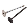 Fits 98-06 Audi A4 S4 Volkswagen Passat 2.8 2.7 Turbo DOHC Intake Exhaust Valves