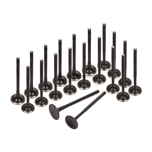 Head Gasket Set Intake Exhaust Valves Fit 97-00 Audi Volkswagen A4 1.8L 20V