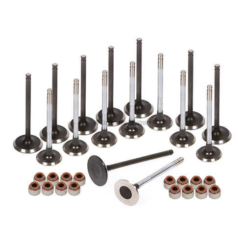 Fits 98-05 Toyota MR2 Celica Corolla 1.8L Intake Exhaust Valves Seals 1ZZFE
