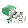 Pistons Bearings Rings Fit 00-06 Toyota Corolla Celica Pontiac Vibe 1.8L
