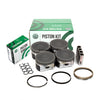 Pistons Bearings Rings Fit 02-06 Nissan Altima Sentra 2.5L DOHC QR25DE