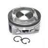 Pistons and Rings Fits 09-12 Nissan Altima Murano Maxima Quest 3.5L DOHC VQ35DE
