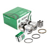 Pistons Bearings Rings Fit Acura Integra Honda ZC 1.6 D16A1 P29 Raised Dome