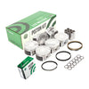 Pistons Bearings Rings Fit 99-01 Honda Odyssey 3.5L SOHC J35A1
