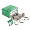 Pistons Bearings Rings Fit 93-94 Mitsubishi Eagle Plymouth Non-Turbo 2.0 4G63