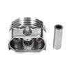 Pistons Bearings Rings Fit 93-03 Mazda 626 MX6 Protege Ford Probe 2.0L DOHC