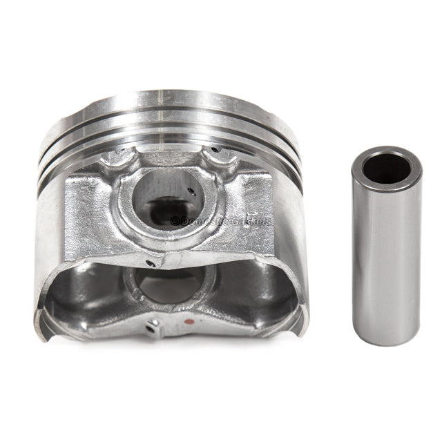 Full Gasket Set Bearings Pistons Fit 99-01 Mazda Protege 1.6 ZM