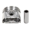Pistons and Rings fit 99-01 Mazda Protege 1.6L DOHC 16V ZM