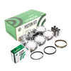 Pistons Bearings Rings Fit 98-03 Isuzu Trooper Axiom Acura SLX 3.5L 6VE1