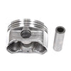 Pistons Bearings Rings Fit 98-03 Isuzu Trooper Axiom Acura SLX 3.5L 6VE1