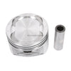 Pistons and Rings fit Isuzu Amigo Rodeo Honda Passport 3.2L