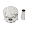 Pistons Bearings Rings Fit 89-94 Suzuki Swift 1.3L DOHC G13B