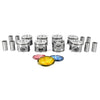 Pistons and Rings fit 08-10 Ford 6.4L Power-Stroke