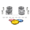 Pistons and Rings fit 13-16 Mazda 3 2.0L L4 DOHC 16v