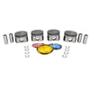 Pistons and Rings fit 11-17 Nissan Sentra 1.6L L4 DOHC 16v
