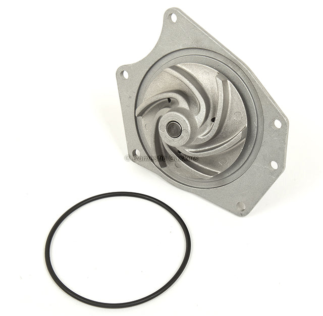 Timing Belt Kit Water Pump Fit 03-04 Chrysler 300M Concorde Dodge Intrepid 3.5L